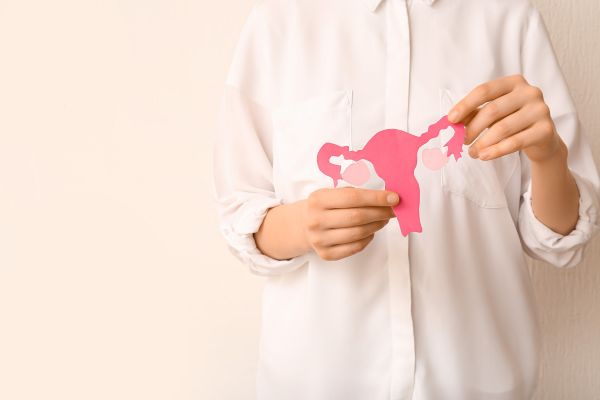 Cambios hormonales en la perimenopausia y la menopausia