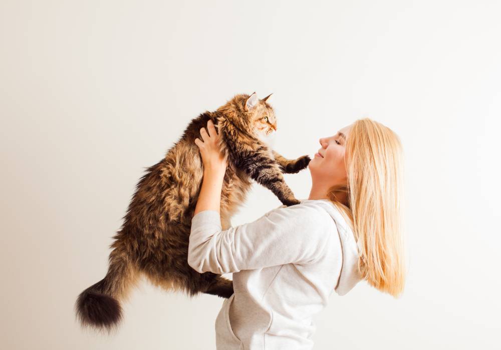Mujer en casa cargando a su gato en un momento de calma, mostrando cómo puede ser tu relación con tu mascota en la menopausia