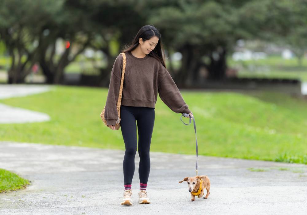 Mujer en bienestar paseando con su perro como muestra del vínculo con las mascotas en la menopausia