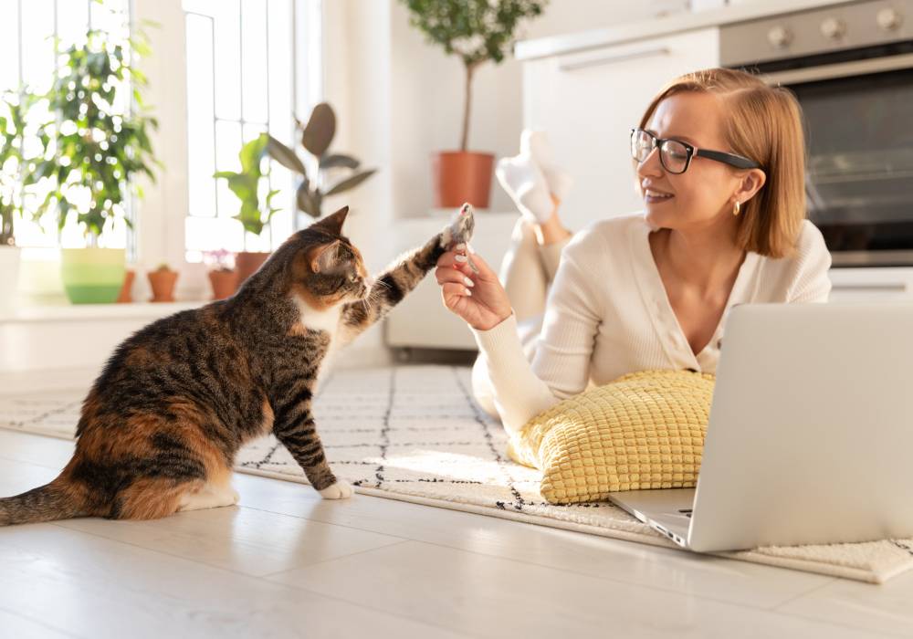 Mujer jugando con su gato en casa, como muestra de cómo puede transformarse tu vínculo con tu mascota en la menopausia