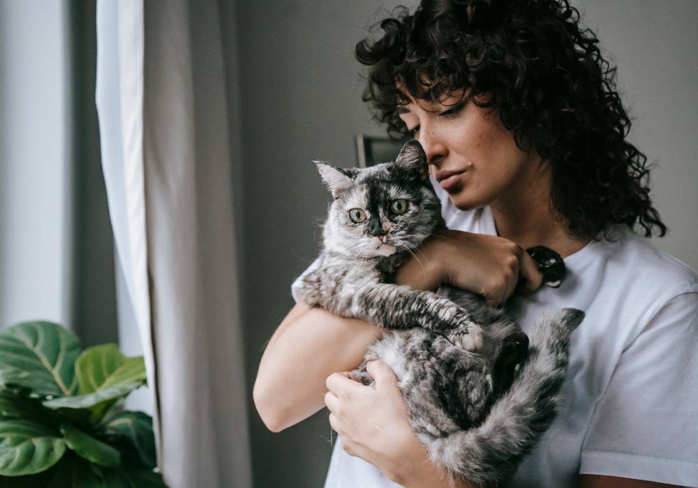 Acariciar a tu gato antes de dormir activa la oxitocina y reduce el cortisol, ayudando con el insomnio en la menopausia