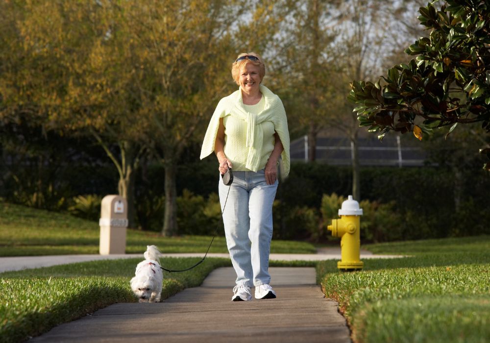 Mujer y perro caminando juntos, mostrando el valor del paseo diario con tu perro durante la menopausia como práctica de salud mental