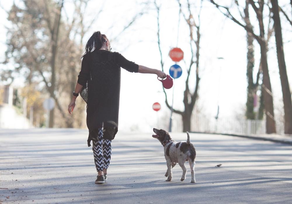 Mujer y perro de espaldas, caminando juntos, ejemplo del valor del paseo diario con tu perro en la menopausia