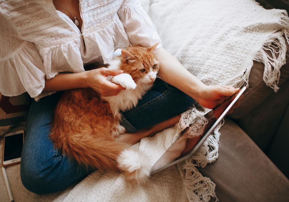 Mujer junto a su gata, indagando si tienen menopausia los perros y los gatos