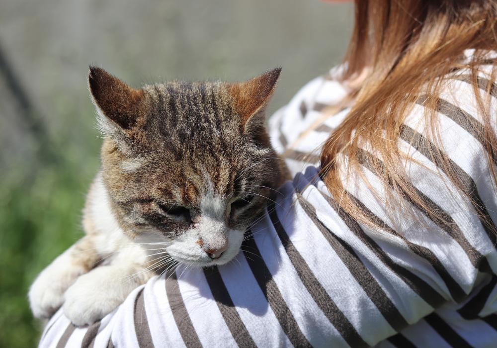 Cuidado mutuo entre mujer en menopausia y mascota que envejece, una relación que va más allá de si tienen menopausia los perros y los gatos