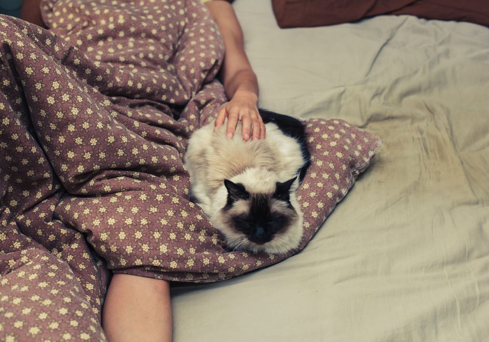 Mujer acostada en su cama y relajándose con su mascota mientras gestiona la progesterona en la menopausia
